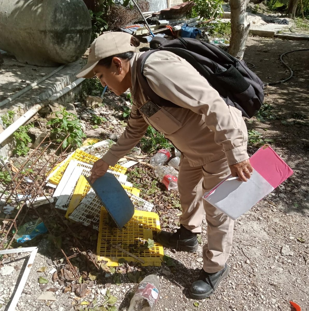ELIMINAN CRIADEROS DE MOSQUITOS EN LOS 13 MUNICIPIOS CON CONTROL LARVARIO