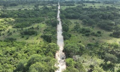 REHABILITACIÓN DE CAMINO COSECHERO EN HECELCHAKÁN: SDA