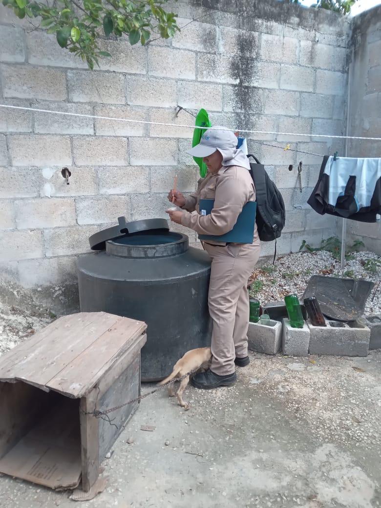 ELIMINAN MÁS DE 114 MIL CRIADEROS DE MOSQUITO DEL DENGUE