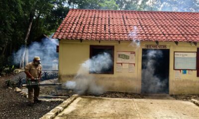 NEBULIZAN COMUNIDADES PARA ERRADICAR AL MOSQUITO TRANSMISOR DEL DENGUE