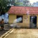 NEBULIZAN COMUNIDADES PARA ERRADICAR AL MOSQUITO TRANSMISOR DEL DENGUE