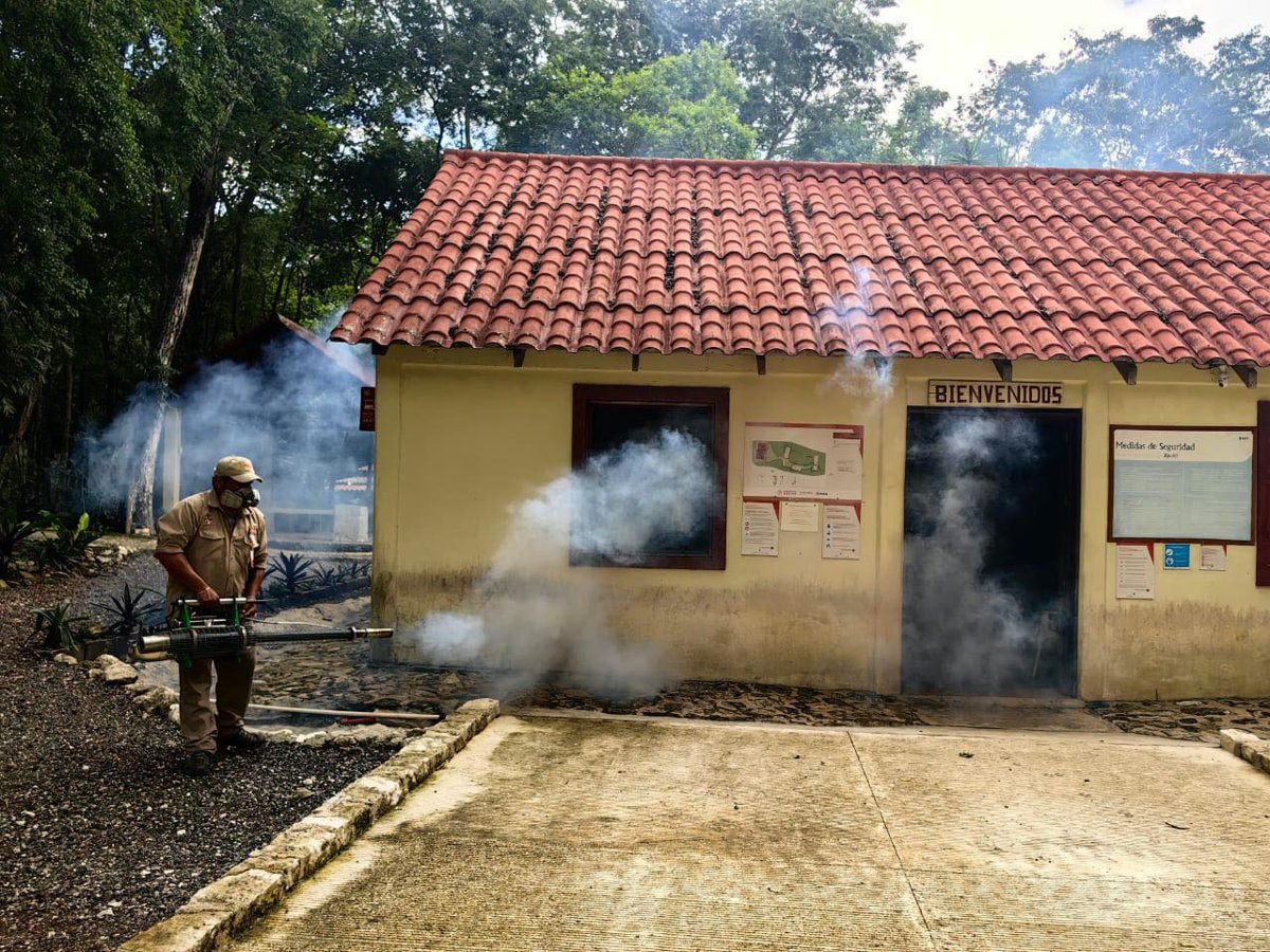 NEBULIZAN COMUNIDADES PARA ERRADICAR AL MOSQUITO TRANSMISOR DEL DENGUE