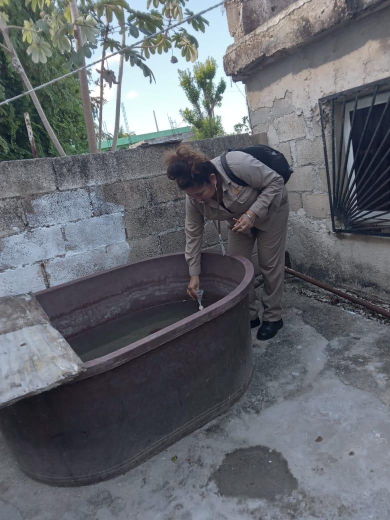 ELIMINAN MÁS DE 114 MIL CRIADEROS DE MOSQUITO DEL DENGUE