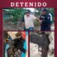 RÁPIDO ALERTAMIENTO DEL C5 PERMITE DETENER A SUJETO QUE AMENAZÓ A UNA MUJER EN CHAMPOTÓN