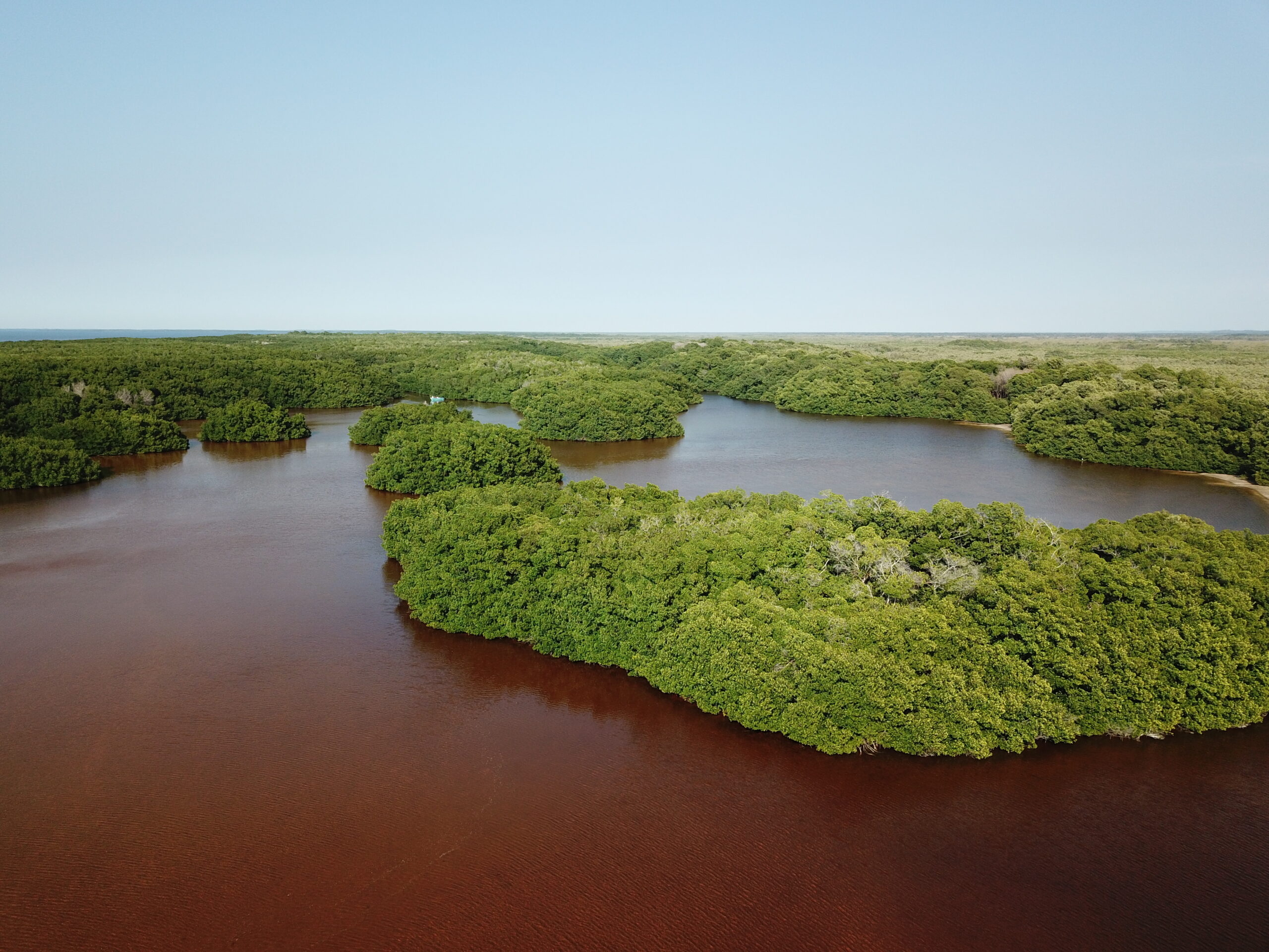 500 MILLONES DE PESOS PARA FOMENTAR COMUNIDADES SOSTENIBLES EN LA PENÍNSULA DE YUCATÁN
