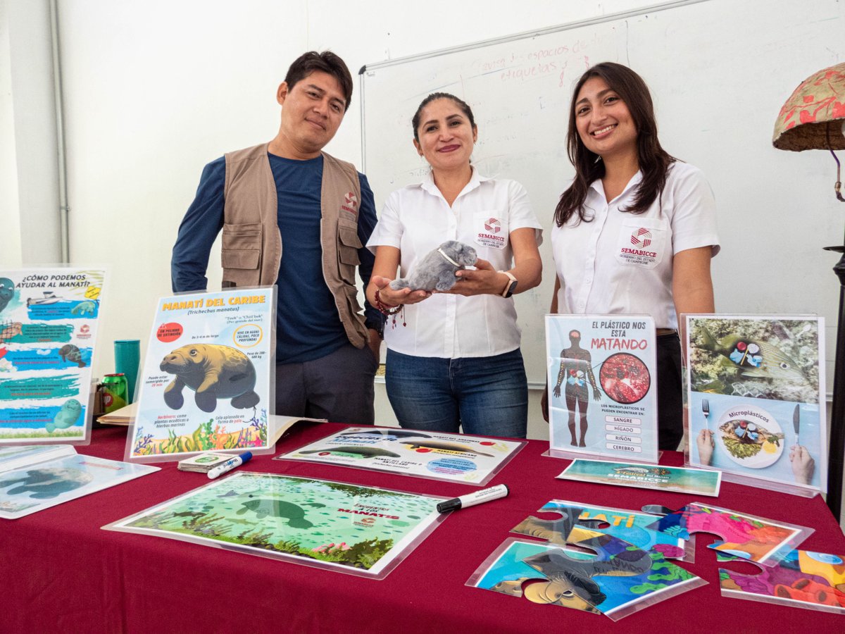 SALVEMOS AL MANATÍ MEXICANO