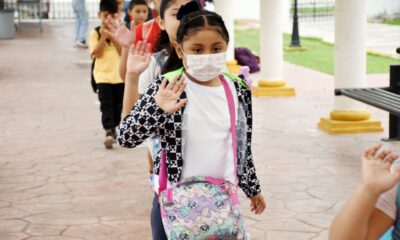 TERCER CURSO DE VERANO INCLUSIVO "RAÍCES DE COLORES, MANOS QUE MIRAN Y HABLAN, UN VERANO PARA TODOS"