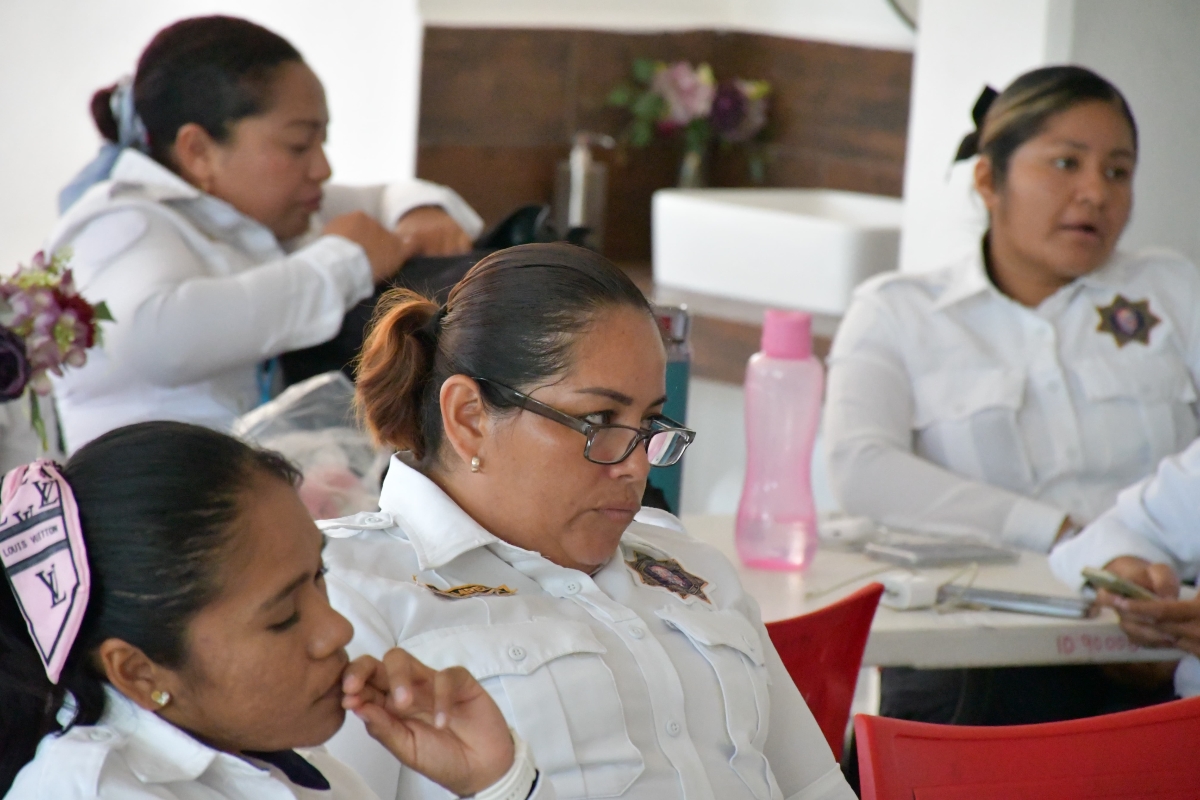 GENERANDO CONCIENCIA Y EMPATÍA: CURSO DE INCLUSIÓN PARA SERVIDORES DE SEGURIDAD PÚBLICA