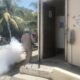 COMBATE AL DENGUE PERMANENTE EN TODO EL ESTADO
