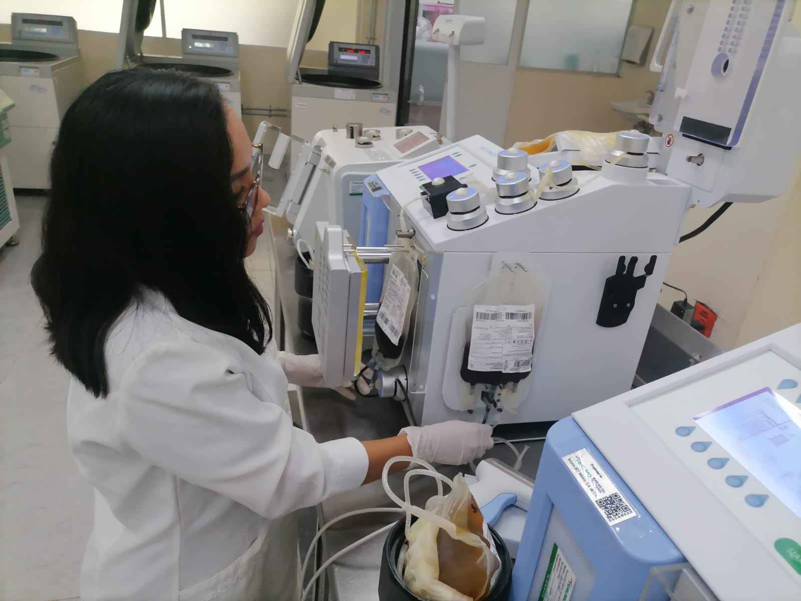 Cuatro Mil 556 Componentes Sanguíneos Para La Red Hospitalaria De Campeche