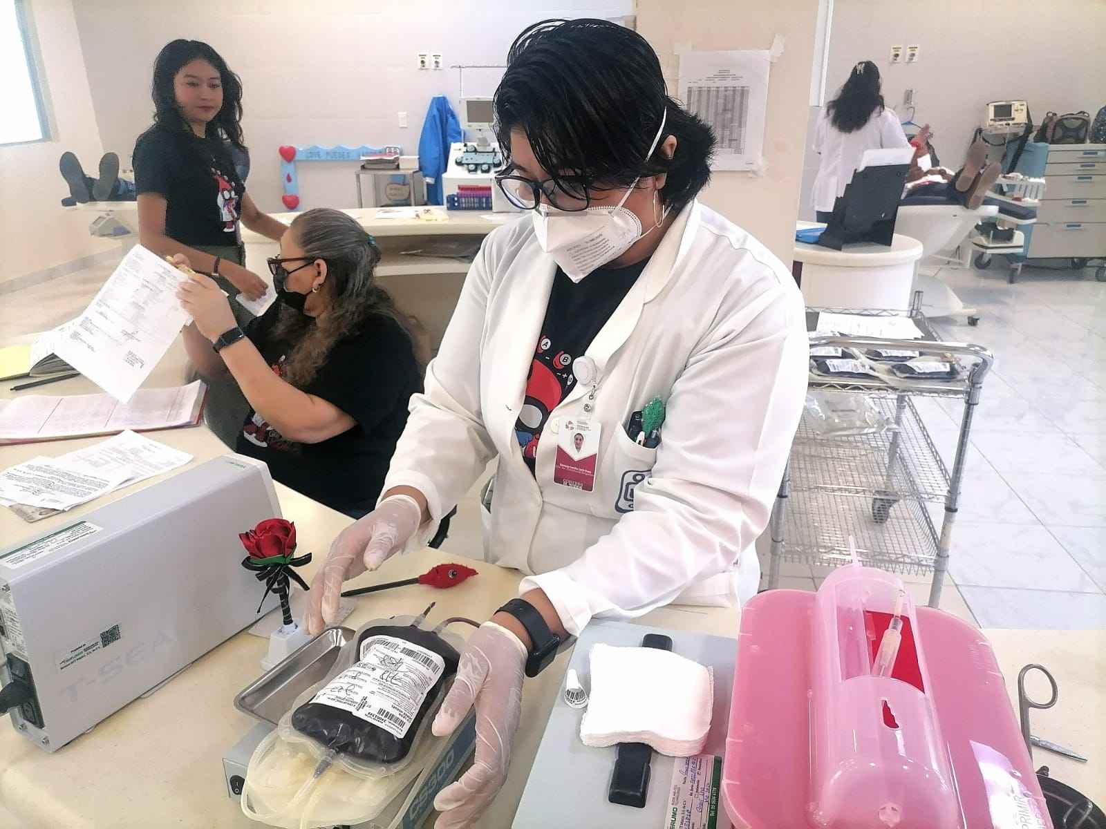 Cuatro Mil 556 Componentes Sanguíneos Para La Red Hospitalaria De Campeche