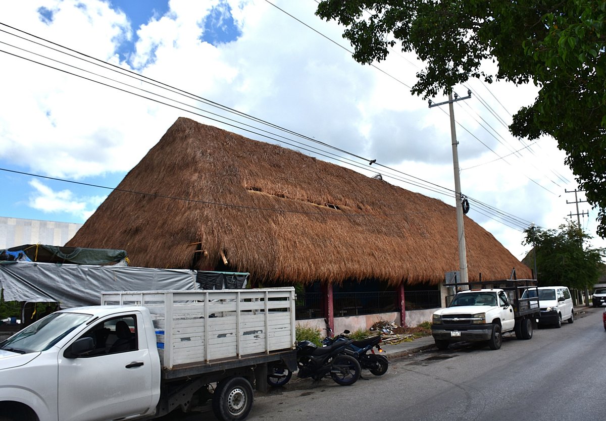 EN PROCESO DE REHABILITACIÓN LAS PALAPAS DEL REFUGIO PESQUERO “7 DE AGOSTO”: APICAM