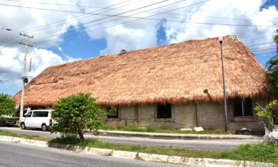 EN PROCESO DE REHABILITACIÓN LAS PALAPAS DEL REFUGIO PESQUERO “7 DE AGOSTO”: APICAM