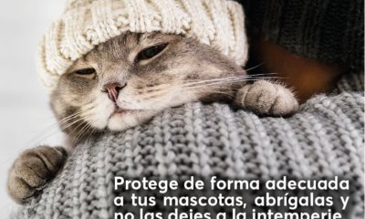 Recomendaciones Ante Notable Descenso De Temperatura En La Entidad