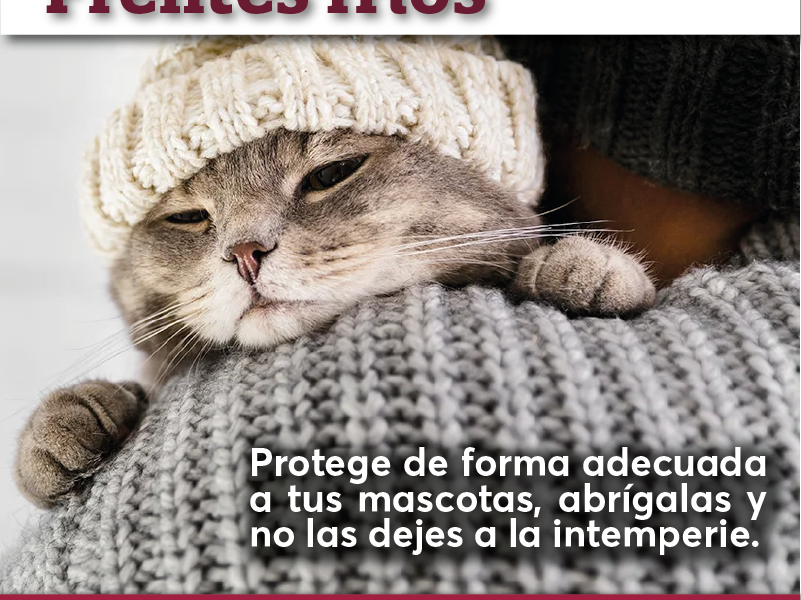 Recomendaciones Ante Notable Descenso De Temperatura En La Entidad