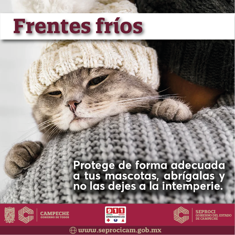 Recomendaciones Ante Notable Descenso De Temperatura En La Entidad