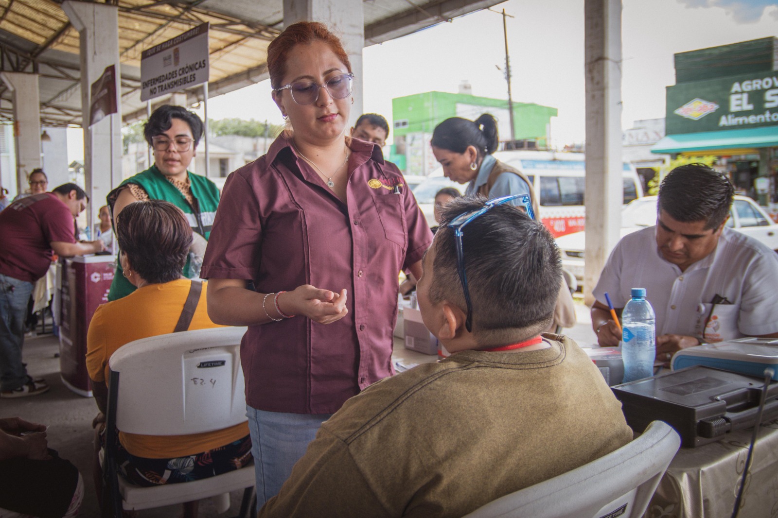 ESTERILIZAN PERROS Y GATOS DE ESCÁRCEGA CON SALUD EN TU BARRIO