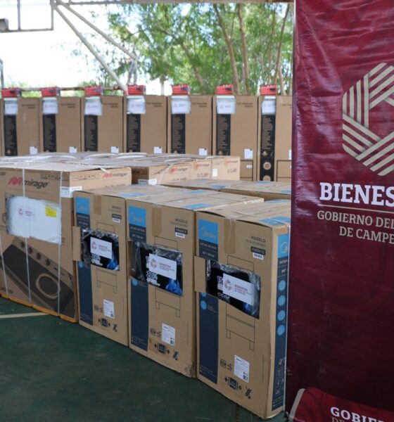 HOGARES EN BIENESTAR, APOYOS QUE CAMBIAN VIDAS