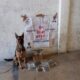 UNIDAD K9 ASEGURA PAQUETE CON PRESUNTA DROGA EN PAQUETERÍA DE LA CAPITAL DEL ESTADO
