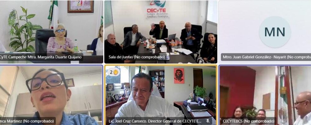 COORDINACIÓN NACIONAL DE CECyTEs ALISTA PLAN DE TRABAJO 2025