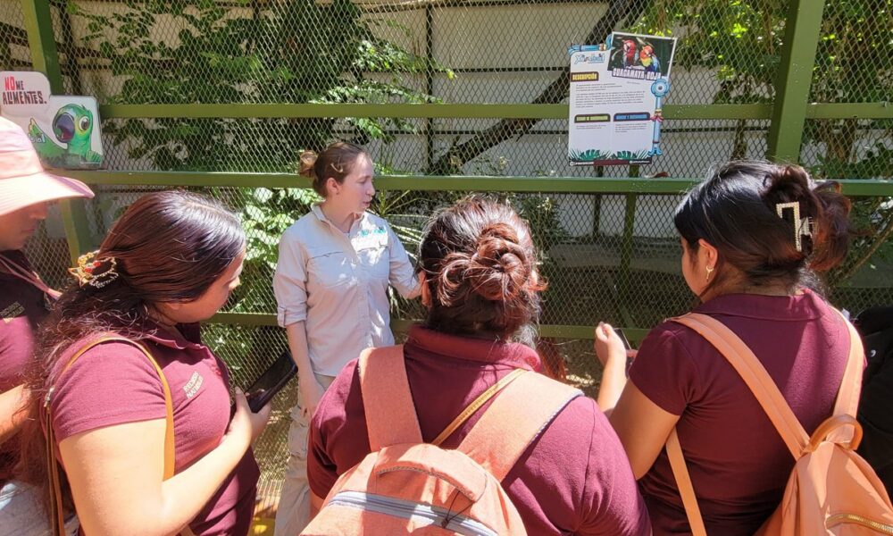ALUMNOS DE LA UT CALAKMUL EN XIMBAL