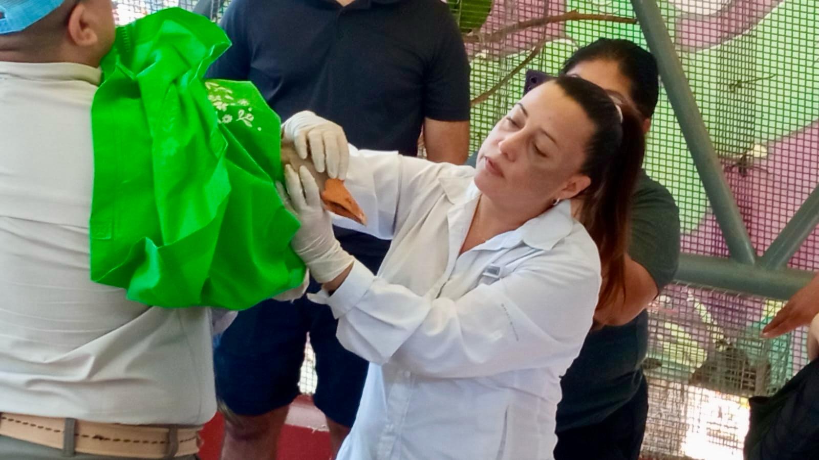 ORGANIZA PROCDSCAM CURSO DE MANEJO DE AVES