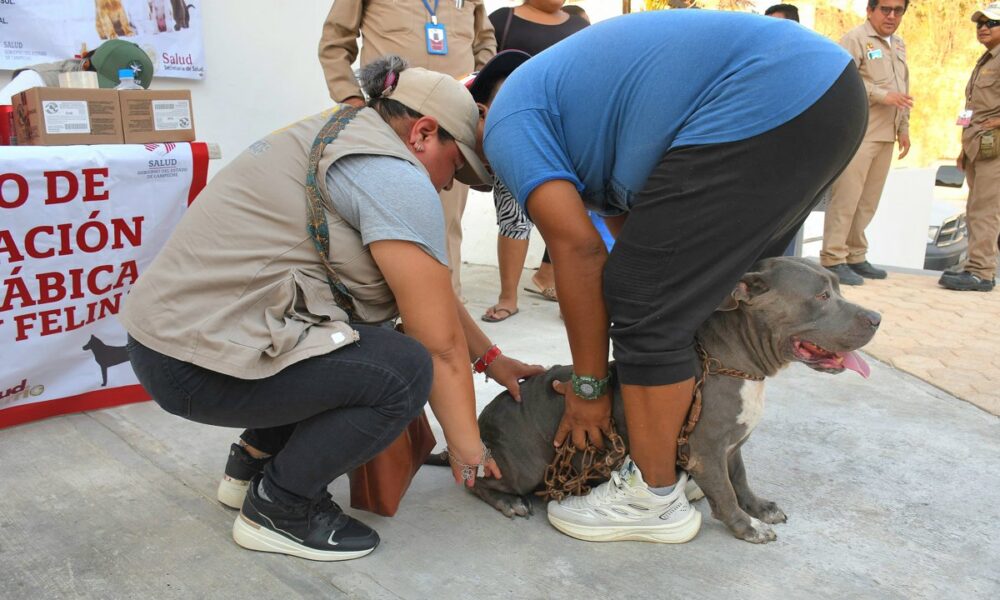 SERVICIOS GRATUITOS DE SALUD EN TU BARRIO EN LA COLONIA KANISTÉ