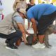 SERVICIOS GRATUITOS DE SALUD EN TU BARRIO EN LA COLONIA KANISTÉ