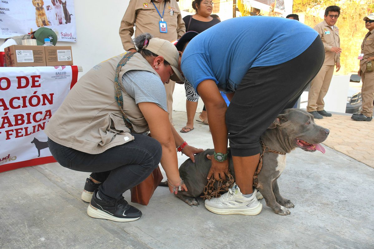 SERVICIOS GRATUITOS DE SALUD EN TU BARRIO EN LA COLONIA KANISTÉ