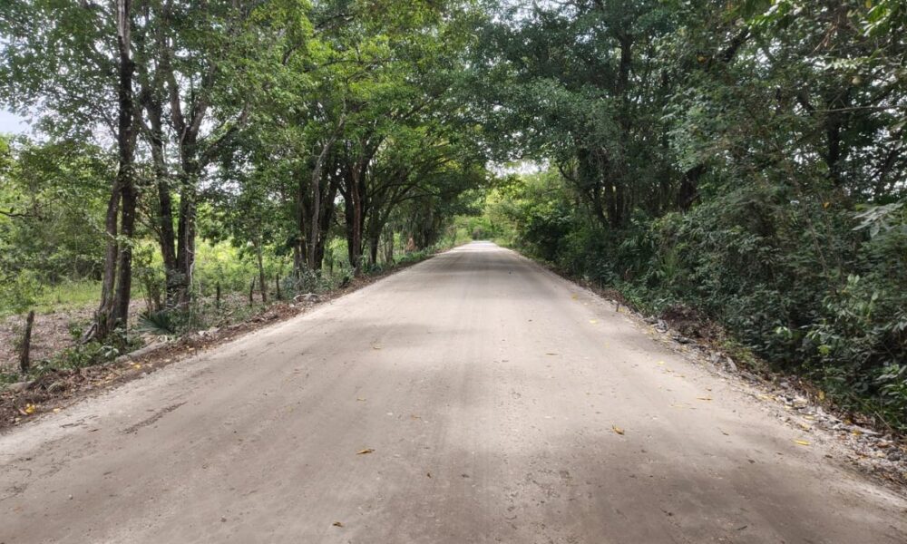 RECONSTRUCCIÓN DE CAMINO ESTADO DE MÉXICO – LUINAL (TRAMOS AISLADOS) DE CANDELARIA