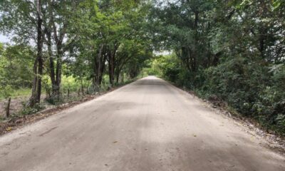 RECONSTRUCCIÓN DE CAMINO ESTADO DE MÉXICO – LUINAL (TRAMOS AISLADOS) DE CANDELARIA