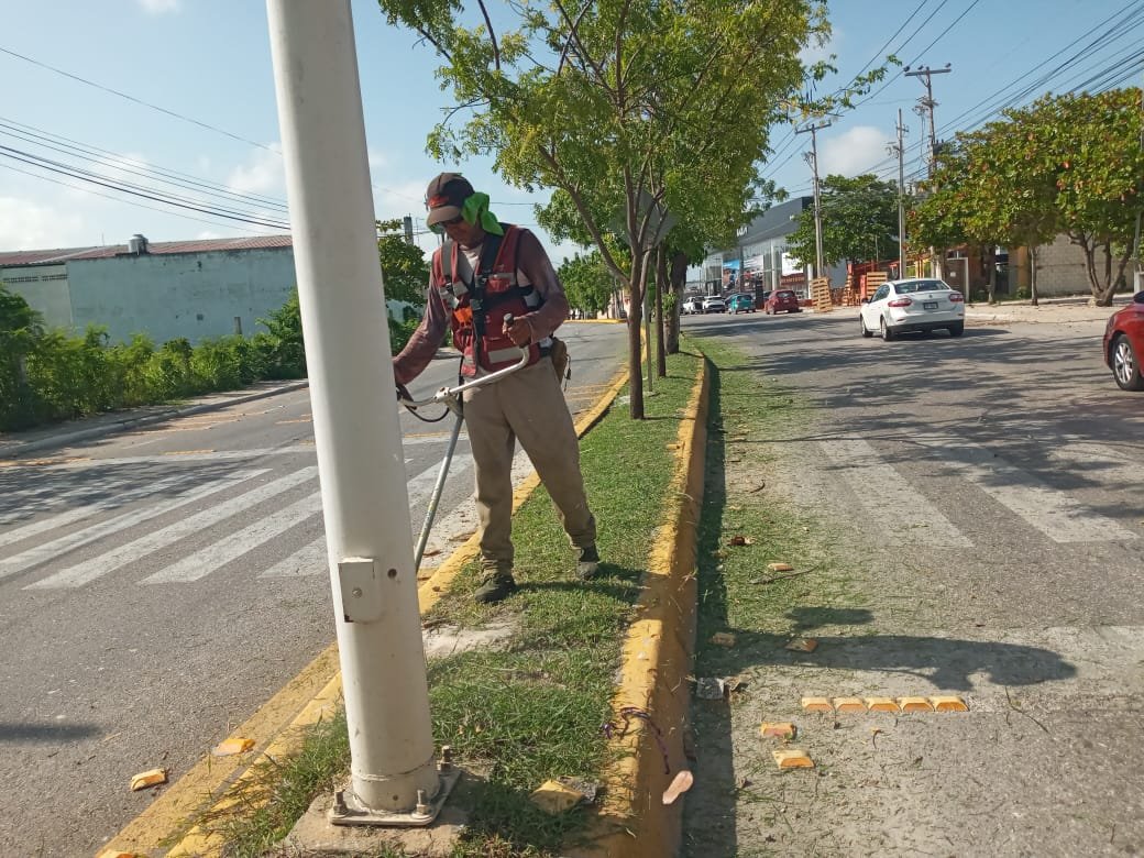BRIGADAS DE PARQUES Y JARDINES EN AV. MAESTROS CAMPECHANOS