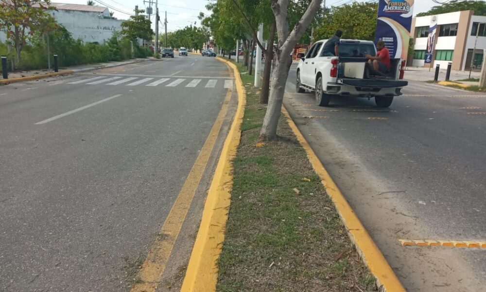BRIGADAS DE PARQUES Y JARDINES EN AV. MAESTROS CAMPECHANOS