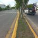 BRIGADAS DE PARQUES Y JARDINES EN AV. MAESTROS CAMPECHANOS