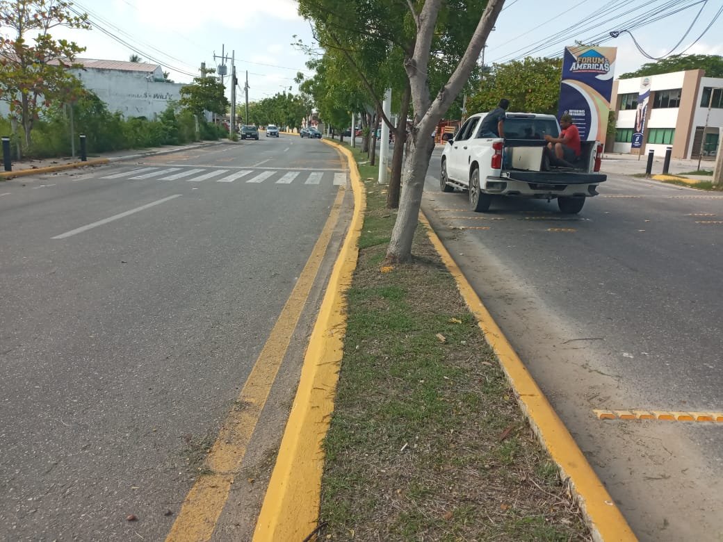 BRIGADAS DE PARQUES Y JARDINES EN AV. MAESTROS CAMPECHANOS
