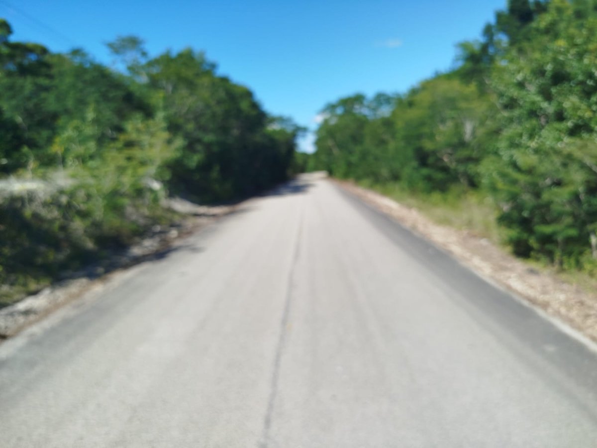 RECONSTRUCCIÓN DEL CAMINO NUEVO PARAÍSO–LA LUCHA