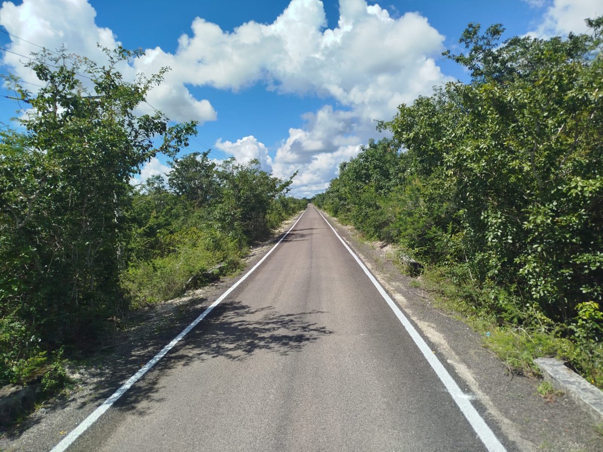 RECONSTRUCCIÓN DEL CAMINO MANUEL CRESCENCIO REJÓN – NUEVO PARAÍSO (TRAMOS AISLADOS), EN EL MUNICIPIO DE CALAKMUL
