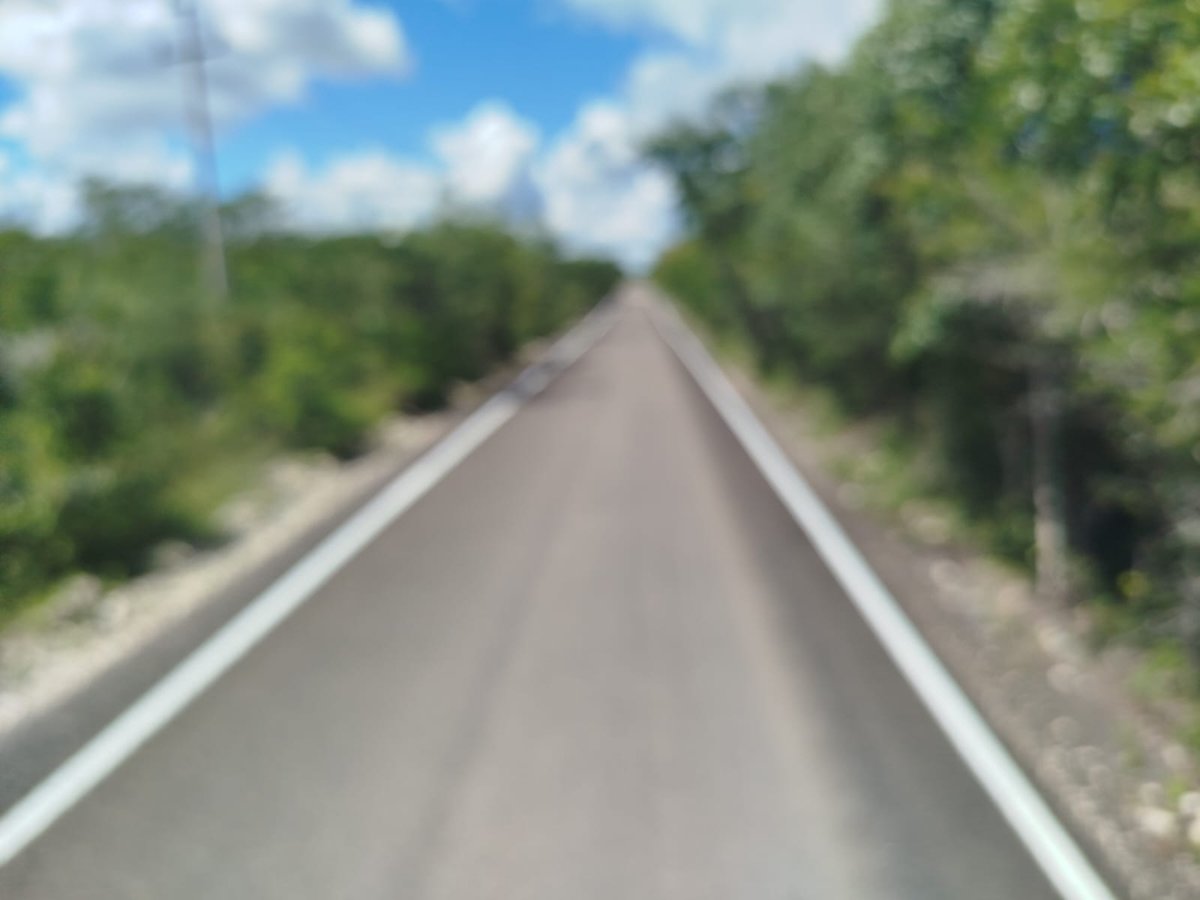 RECONSTRUCCIÓN DEL CAMINO MANUEL CRESCENCIO REJÓN – NUEVO PARAÍSO (TRAMOS AISLADOS), EN EL MUNICIPIO DE CALAKMUL