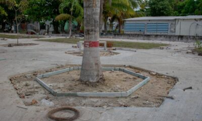 AVANZAMOS EN MAMANTEL, CARMEN