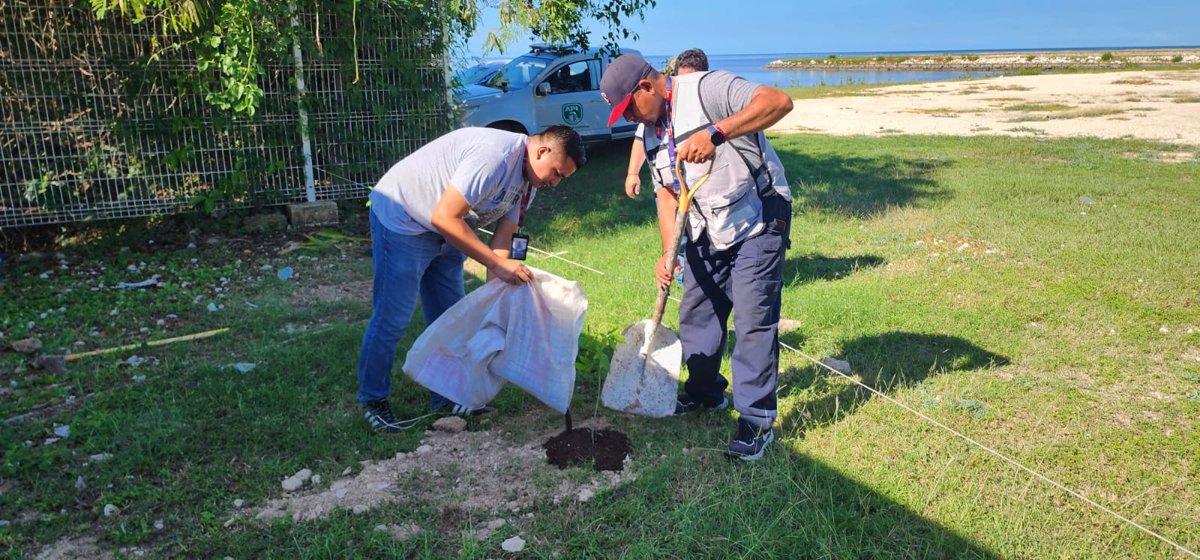 REALIZA APICAM JORNADA DE REFORESTACIÓN EN CORPORATIVO LERMA Y DÁRSENA DE SAN FRANCISCO