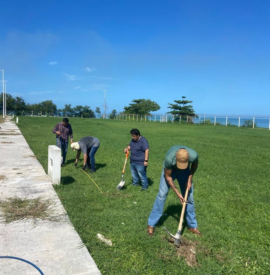 REALIZA APICAM JORNADA DE REFORESTACIÓN EN CORPORATIVO LERMA Y DÁRSENA DE SAN FRANCISCO