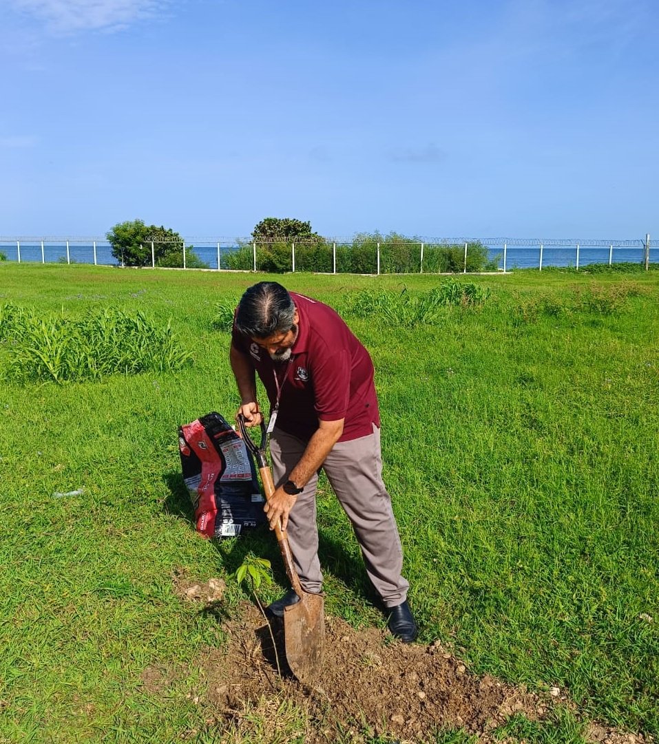 REALIZA APICAM JORNADA DE REFORESTACIÓN EN CORPORATIVO LERMA Y DÁRSENA DE SAN FRANCISCO