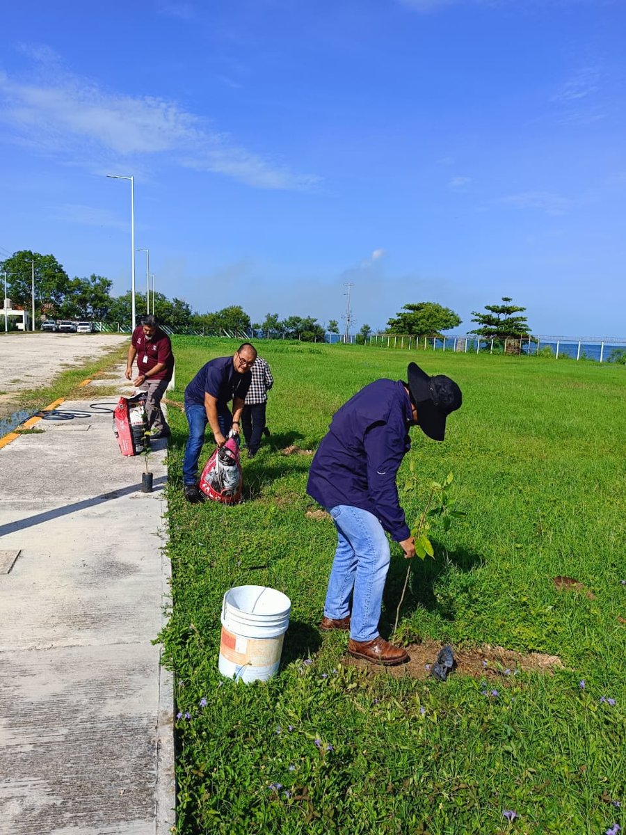 REALIZA APICAM JORNADA DE REFORESTACIÓN EN CORPORATIVO LERMA Y DÁRSENA DE SAN FRANCISCO
