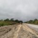 RECONSTRUCCIÓN DE LA CARRETERA CANDELARIA–PEJELAGARTO, EN EL MUNICIPIO DE CANDELARIA