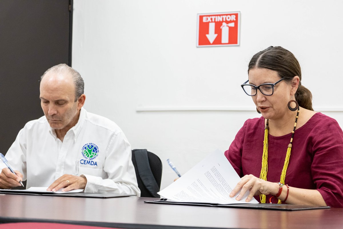 CAMPECHE CELEBRA LA NATURALEZA Y EL CONSUMO LOCAL CON LA 2° ECOFERIA BALAM BEH