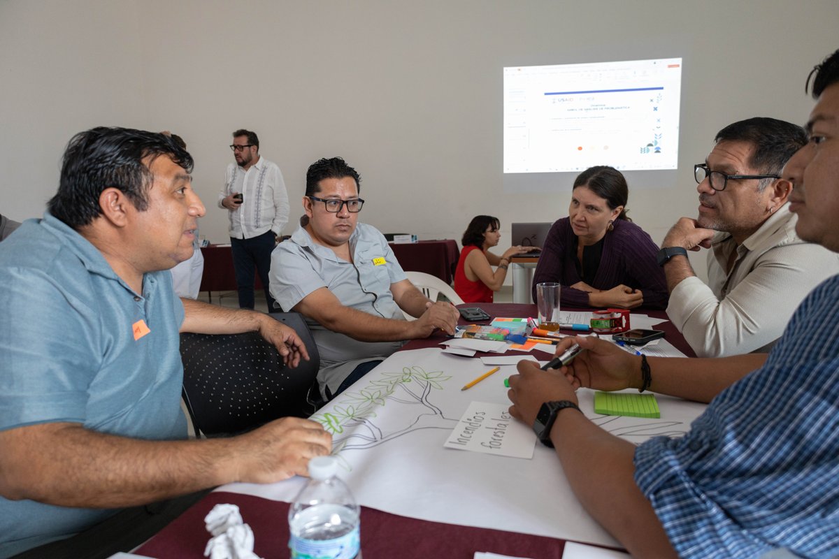 EN CAMPECHE, TALLER REGIONAL HACIA UNA ESTRATEGIA FORESTAL REGIONAL PENINSULAR