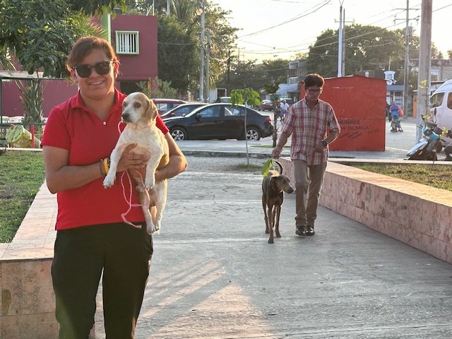 CONTINÚAN LAS ACCIONES PARA PROTEGER A LAS MASCOTAS DE LA RABIA