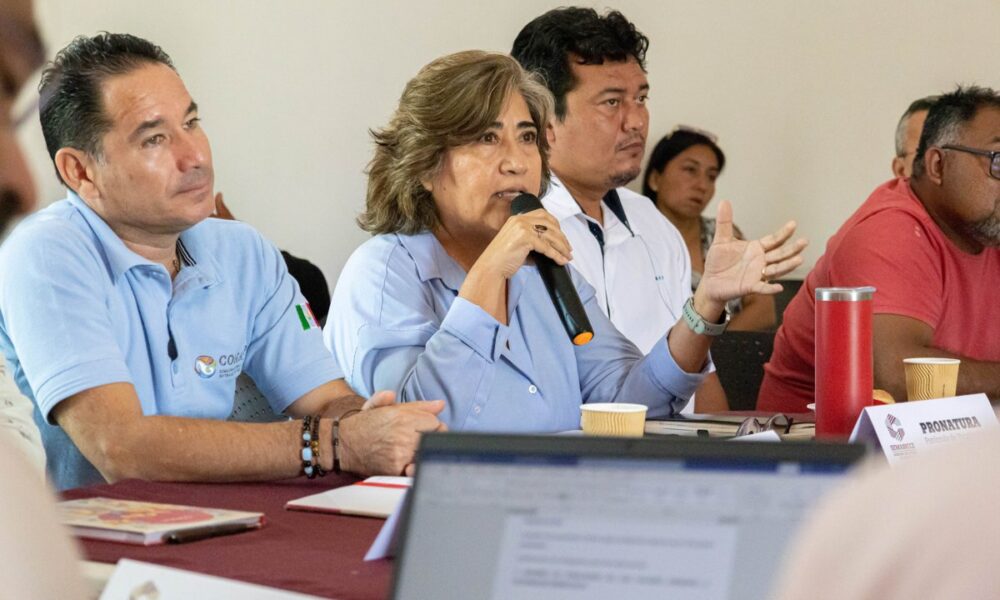 LA GRAN VOCACIÓN FORESTAL DE CAMPECHE COMIENZA A DESPERTAR