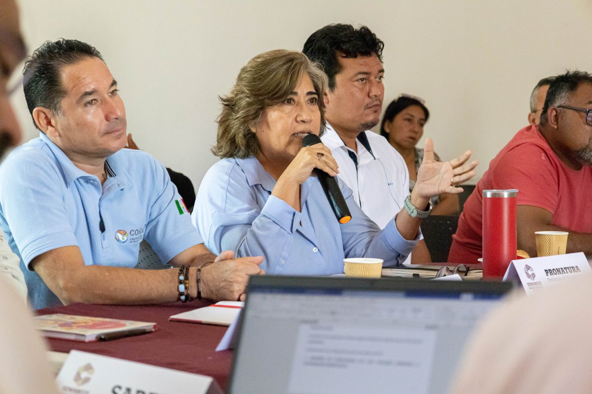 LA GRAN VOCACIÓN FORESTAL DE CAMPECHE COMIENZA A DESPERTAR