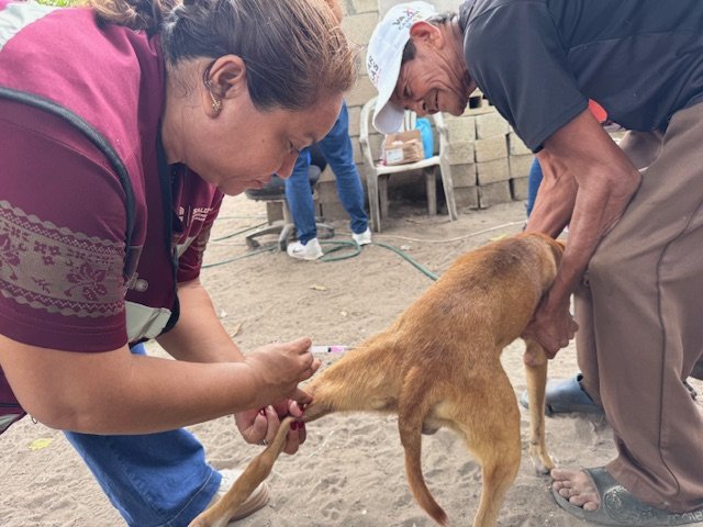 MONITOREAN ATASTEÑOS SU SALUD CON MÓDULOS DE SERVICIOS GRATUITOS